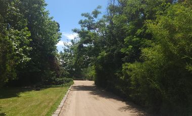 Gran Oportunidad Para Inversionistas  Parcela Parque