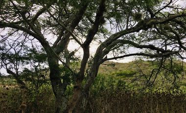 Venta terreno Guayllabamba, 1300m2 para casa de campo, glamping, agrícola…