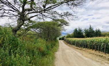 Venta terreno Guayllabamba, 1300m2 para casa de campo, glamping, agrícola…