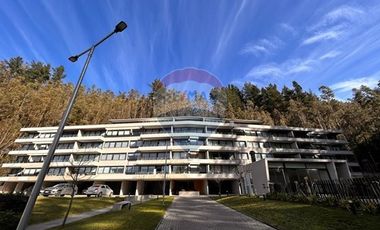 Vista insuperable al Rio Bio Bio!