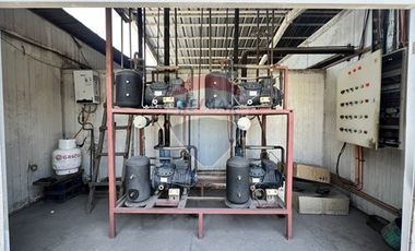 Frigorífico / Comercial