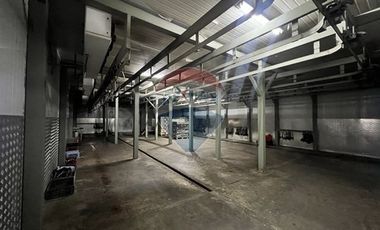 Frigorífico / Comercial