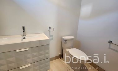 Casa en RENTA, Comercial Chapultepec, Zona Norte