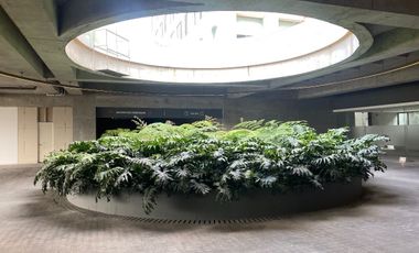 DEPARTAMENTO EN RENTA EN AGWA BOSQUES, BOSQUES DE LAS LOMAS