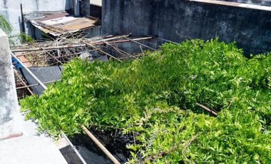 Casa en venta - 2 Dormitorios 1 Baño - Ciudadela