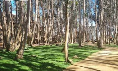 ¡Se Arrienda Impecable Departamento Amoblado en Algarrobo!