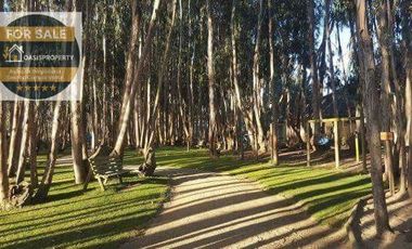 ¡Se Arrienda Impecable Departamento Amoblado en Algarrobo!