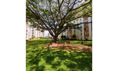 VENDO APARTAMENTO CONJUNTO NARANJOS JAMUNDI