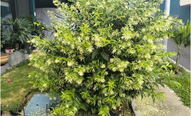 VENTA CASA EN CONJUNTO CERRADO RENTANDO EN LA TEBAIDA