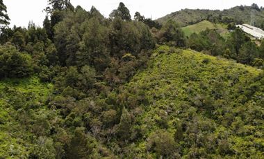 Lote Campestre en Venta – Marinilla, Sector Gaviria