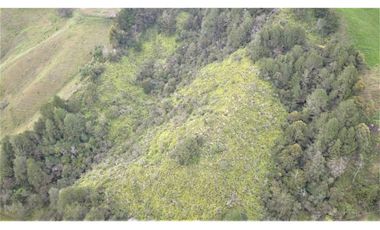 Lote Campestre en Venta – Marinilla, Sector Gaviria