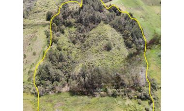 Lote Campestre en Venta – Marinilla, Sector Gaviria