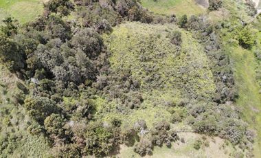 Lote Campestre en Venta – Marinilla, Sector Gaviria