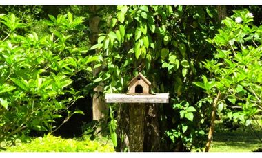 APULO CASA EN VENTA 5100M2