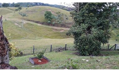 Finca Ganadera Puerto Berrio