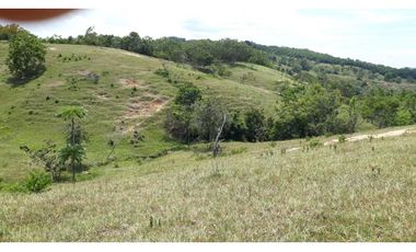 Finca Ganadera Puerto Berrio
