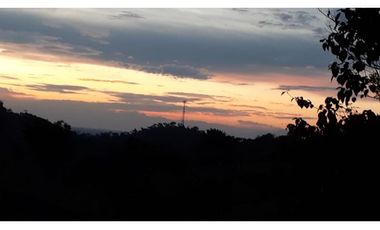 Finca Ganadera Puerto Berrio