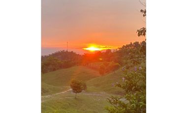 Finca Ganadera Puerto Berrio