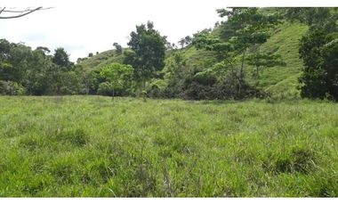 Finca Ganadera Puerto Berrio