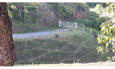 Finca Ganadera Puerto Berrio