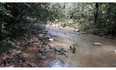 Finca Ganadera Puerto Berrio