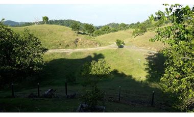 Finca Ganadera Puerto Berrio