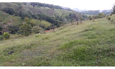 Finca Ganadera Puerto Berrio