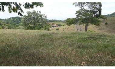 Finca Ganadera Puerto Berrio