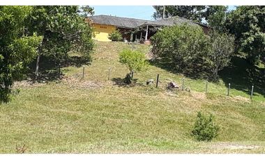 Finca Ganadera Puerto Berrio