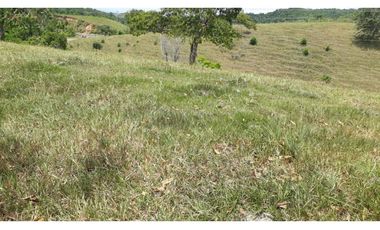 Finca Ganadera Puerto Berrio