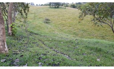 Finca Ganadera Puerto Berrio