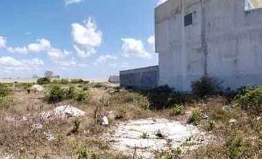 TERRENO EN VENTA EN SEGUNDA FILA DE LAS PLAYAS DE CELESTUN, YUCATÁN.