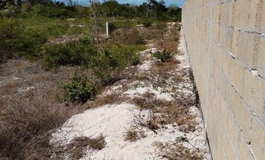 TERRENO EN VENTA EN SEGUNDA FILA DE LAS PLAYAS DE CELESTUN, YUCATÁN.