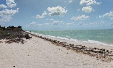 TERRENO EN VENTA EN SEGUNDA FILA DE LAS PLAYAS DE CELESTUN, YUCATÁN.