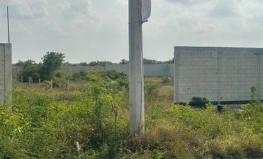 TERRENO EN VENTA EN SEGUNDA FILA DE LAS PLAYAS DE CELESTUN, YUCATÁN.