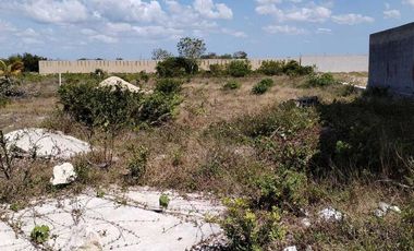 TERRENO EN VENTA EN SEGUNDA FILA DE LAS PLAYAS DE CELESTUN, YUCATÁN.