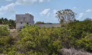 TERRENO EN VENTA EN SEGUNDA FILA DE LAS PLAYAS DE CELESTUN, YUCATÁN.