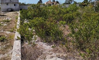 TERRENO EN VENTA EN SEGUNDA FILA DE LAS PLAYAS DE CELESTUN, YUCATÁN.