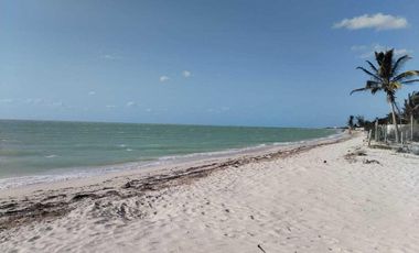 TERRENO EN VENTA EN SEGUNDA FILA DE LAS PLAYAS DE CELESTUN, YUCATÁN.