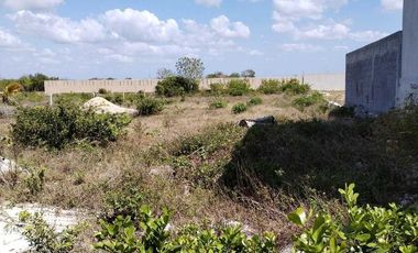 TERRENO EN VENTA EN SEGUNDA FILA DE LAS PLAYAS DE CELESTUN, YUCATÁN.