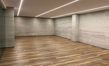 DEPARTAMENTO EN PLINIO, POLANCO AMUEBLADO Y EQUIPADO