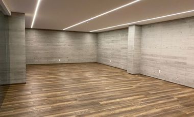 DEPARTAMENTO EN PLINIO, POLANCO AMUEBLADO Y EQUIPADO