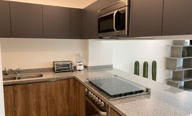 DEPARTAMENTO EN PLINIO, POLANCO AMUEBLADO Y EQUIPADO