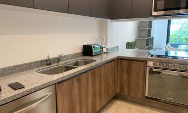 DEPARTAMENTO EN PLINIO, POLANCO AMUEBLADO Y EQUIPADO