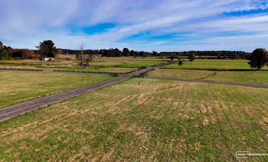 Parcelas Puerto Octay con Luz y Agua