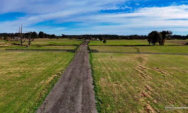 Parcelas Puerto Octay con Luz y Agua