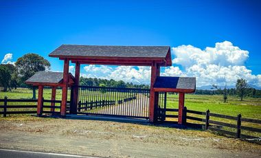 Parcelas Puerto Octay con Luz y Agua