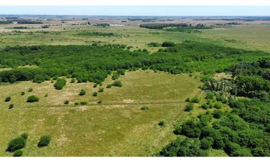 Campo de 377 Has en venta en San Vicente