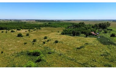 Campo de 377 Has en venta en San Vicente