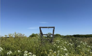 Campo de 377 Has en venta en San Vicente